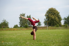 DSC05533